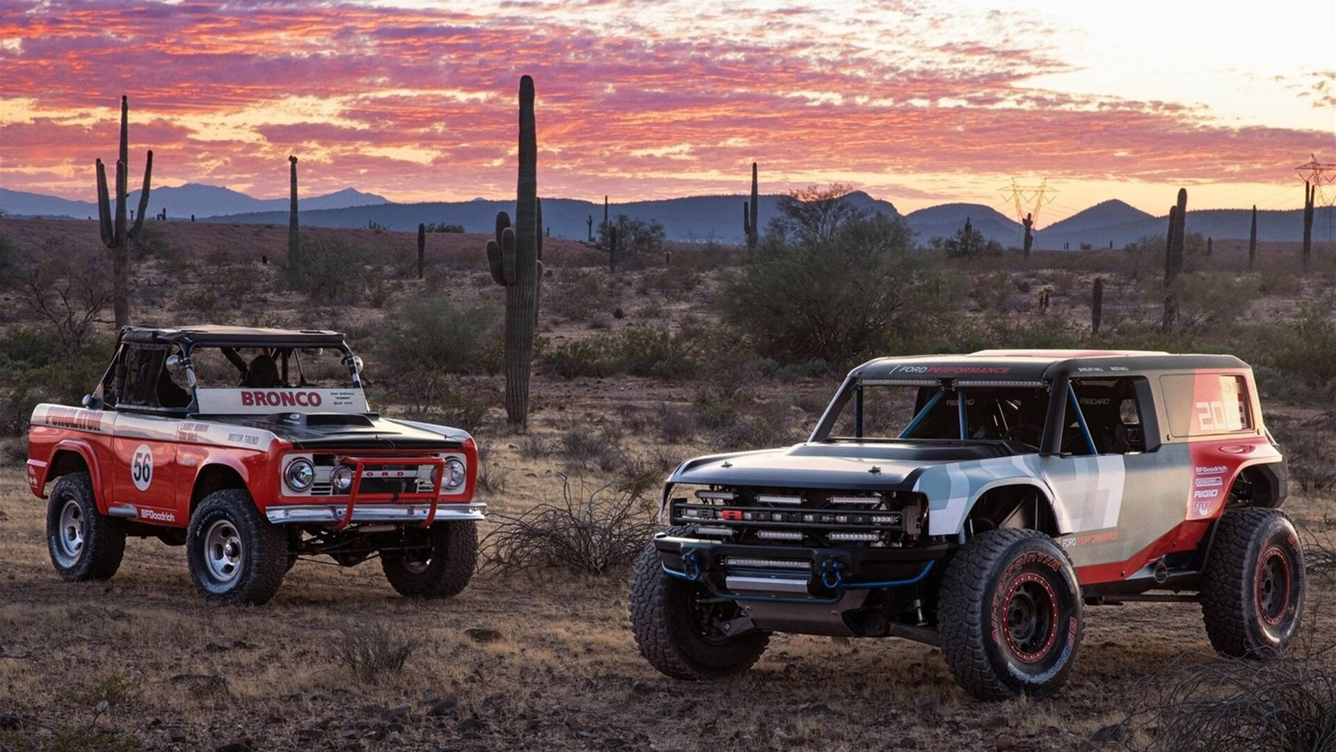 中小学体育课安全教育体系建设与实践研究，中小学体育课程教学改革